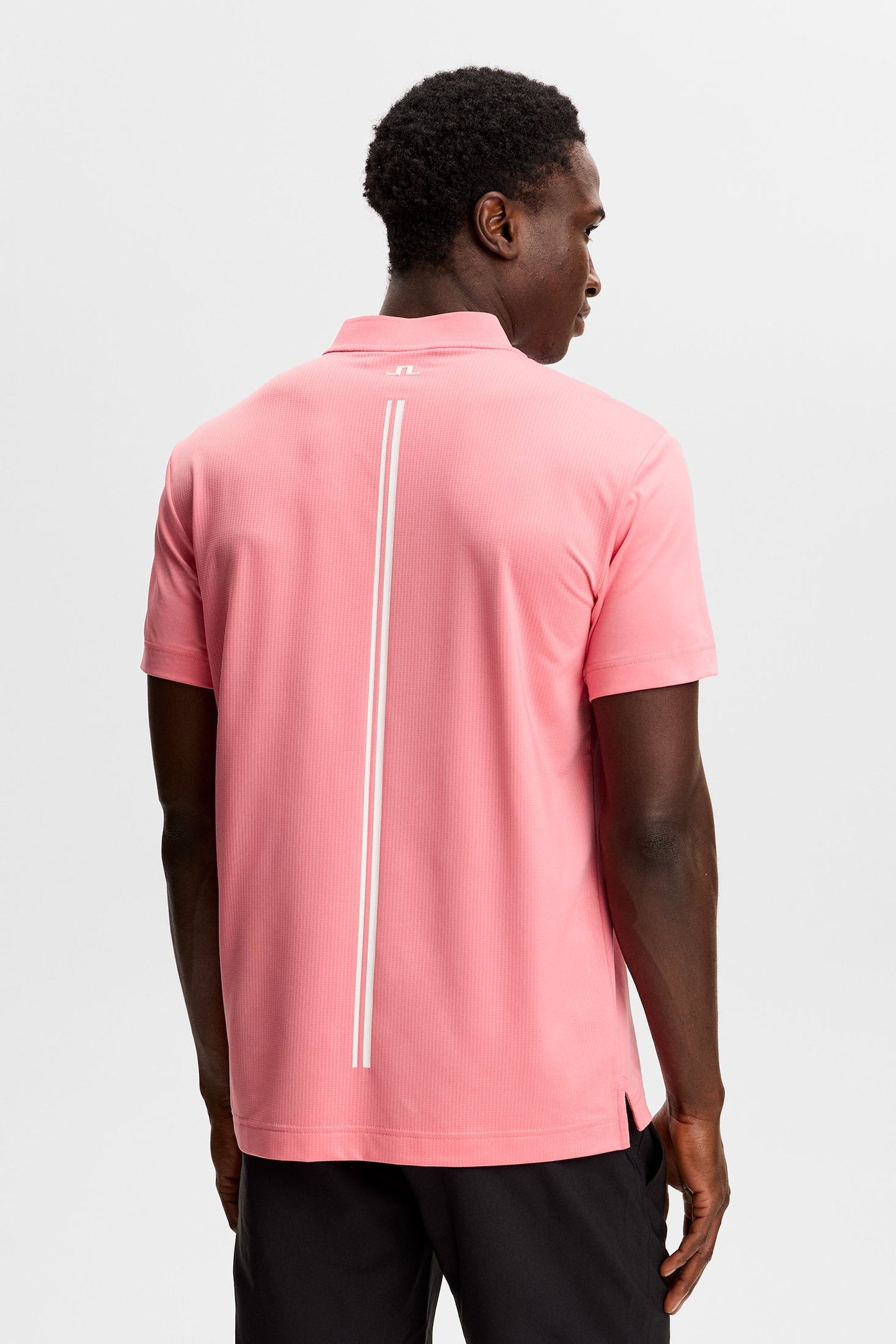 Josh Polo / Flamingofeder