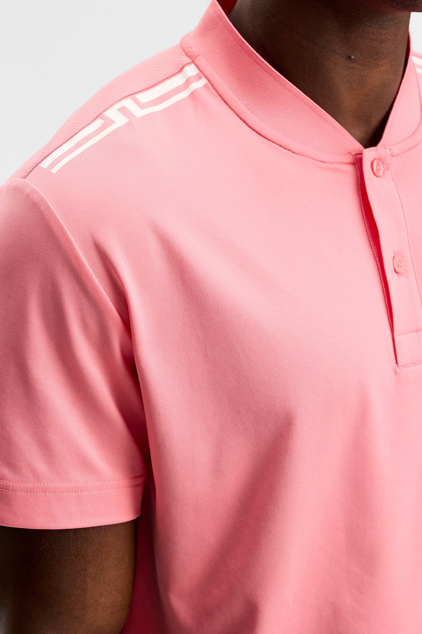 Josh Polo / Flamingofeder