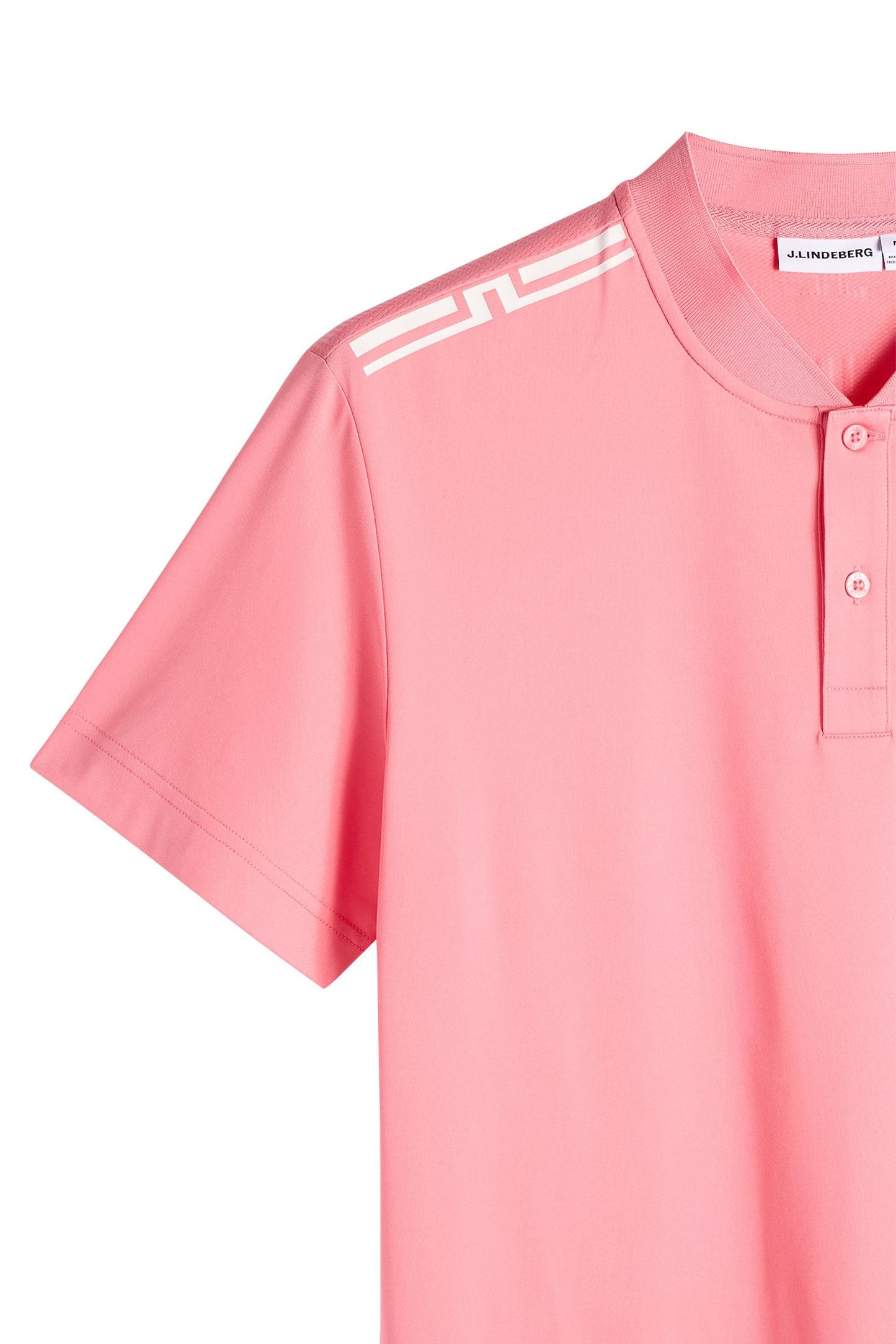 Josh Polo / Flamingofeder
