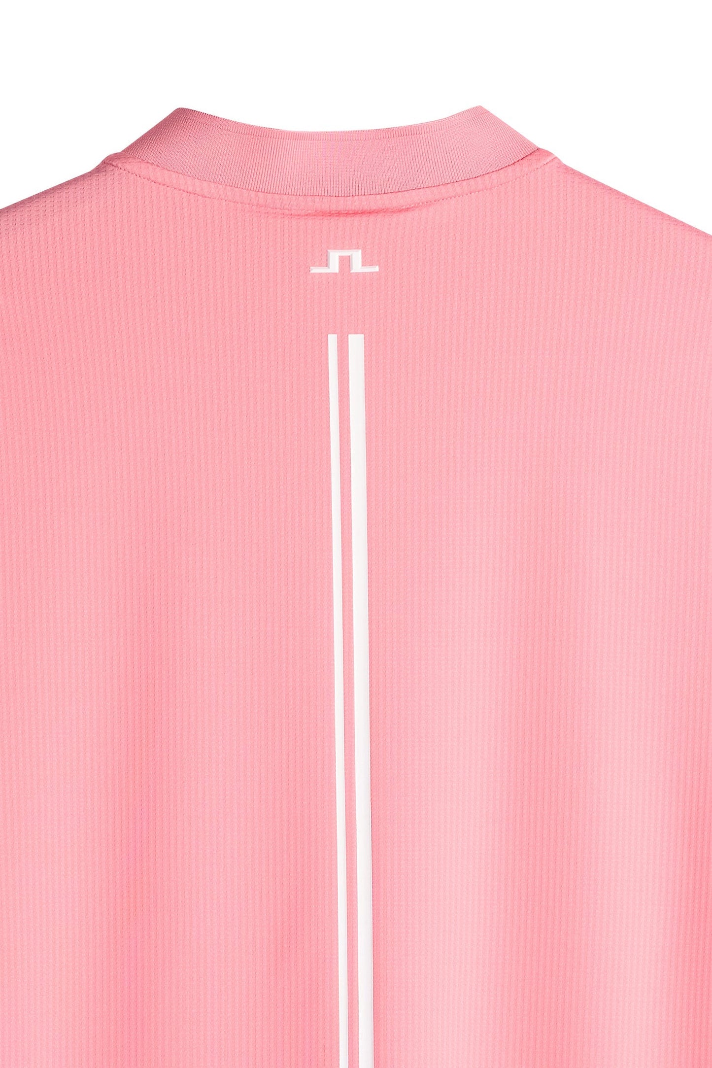 Josh Polo / Flamingofeder
